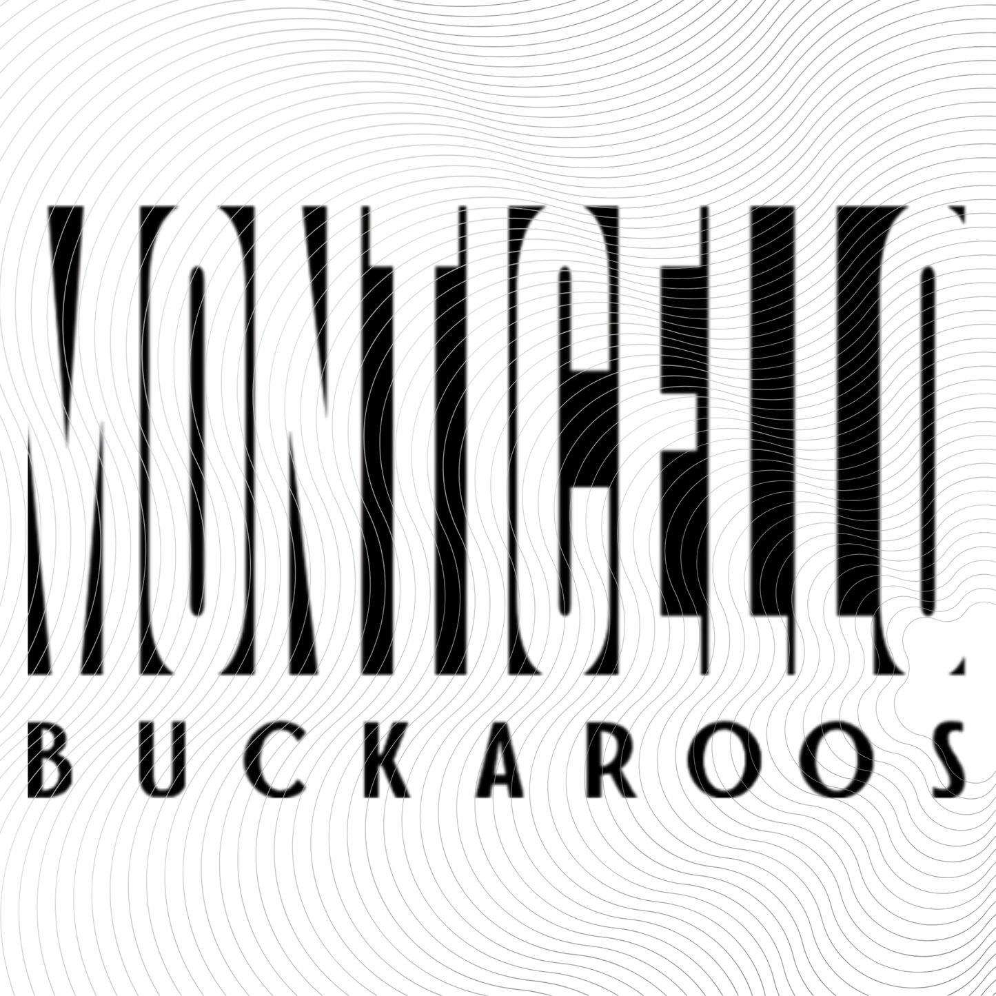 Youth MONTICELLO BUCKAROOS Tee in Orange, Black or White Designs ((Customizable))