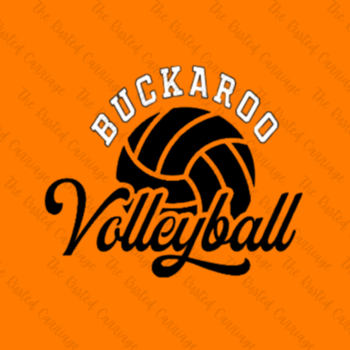 Buckaroo Volleyball- Vintage Orange/Black or White/Black design ((Customizable))