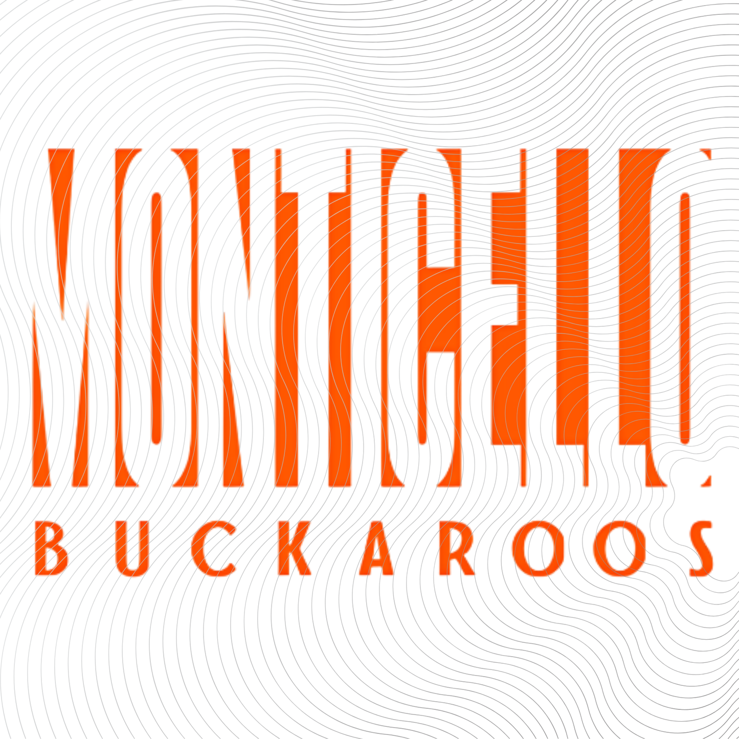 Youth MONTICELLO BUCKAROOS Tee in Orange, Black or White Designs ((Customizable))