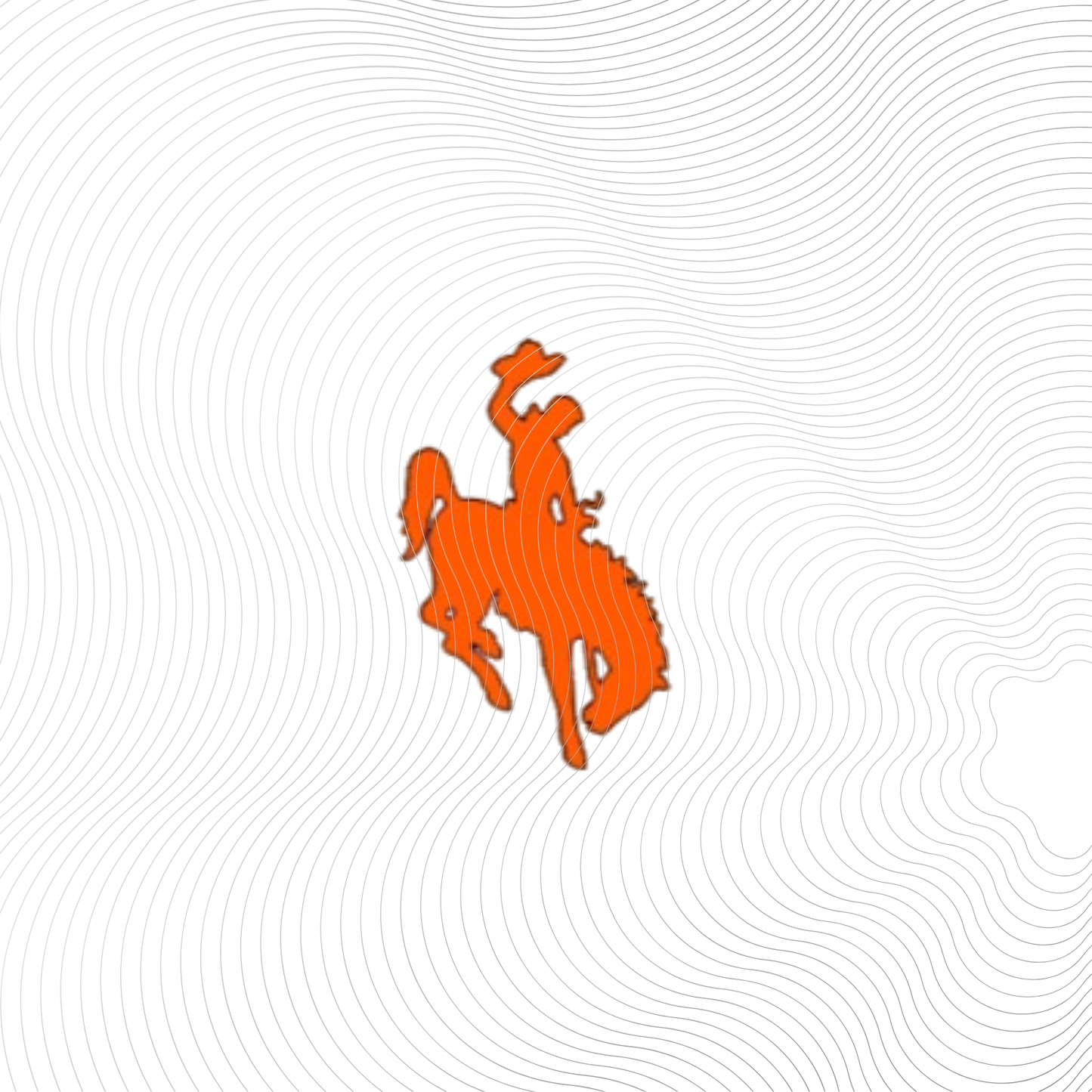 Youth Monticello Buckaroos Front & Back Tee in White, Black or Orange Design ((Customizable))